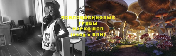 гашик Баксан