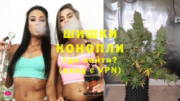 spice Балахна