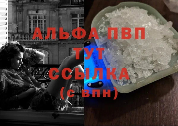гашик Баксан