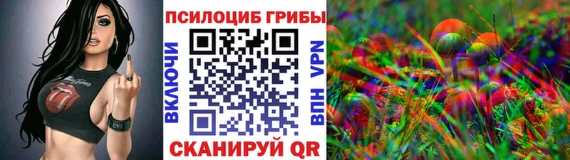 Псилоцибиновые грибы GOLDEN TEACHER  дарнет шоп  Беломорск 